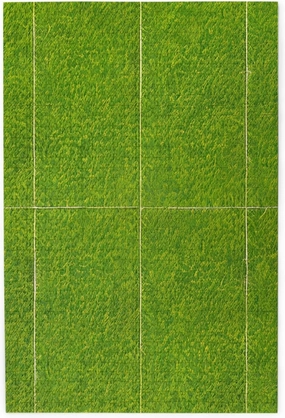 1000 Piece Jigsaw Puzzle for Adults,Green Grassland, Puzzles with Letters on Back, Challenging Puzzle for Game Night Home Décor, 19.7 x 29.5