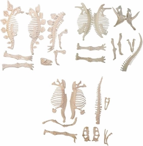 3Pcs 4D Dinosaur Fossil Skeleton Toys DIY For Kids Fossil Skeleton Figure