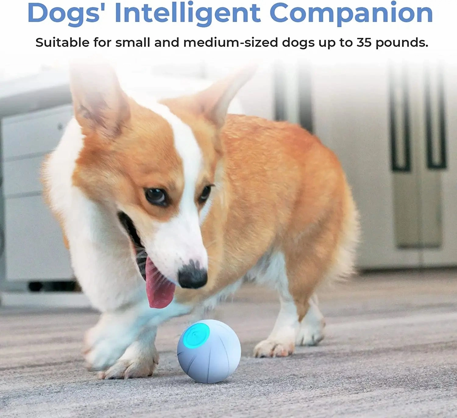 ATUBAN Smart Interactive Dog Toy Ball,Automatic Moving Bouncing Rolling Ball for Small Medium Breeds Dogs,Durable Natural Rubber