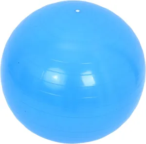 BESPORTBLE 55cm Thick Yoga Ball Anti Burst Stability Ball for Pregnancy Exercise Fitness Balance Training Blue