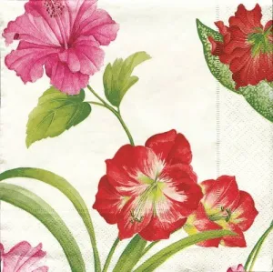 Caspari Set of 2 Tropical Spendor Set of 20 Paper Cocktail Napkin, Ivory