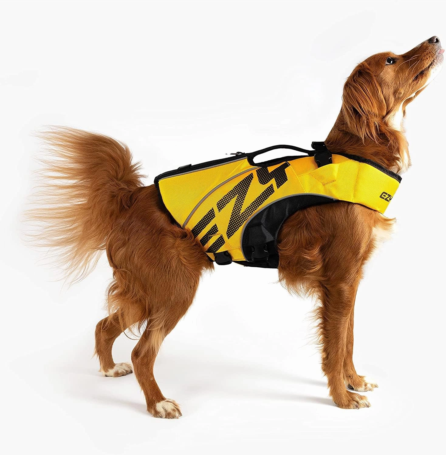 EzyDog DFD X2 Dog Life Jacket - Adjustable Swimming Safety Life Vest Preserver with Continuous Neck Flotation, Reflective Trim, & Grab Handle (Large, Yellow)