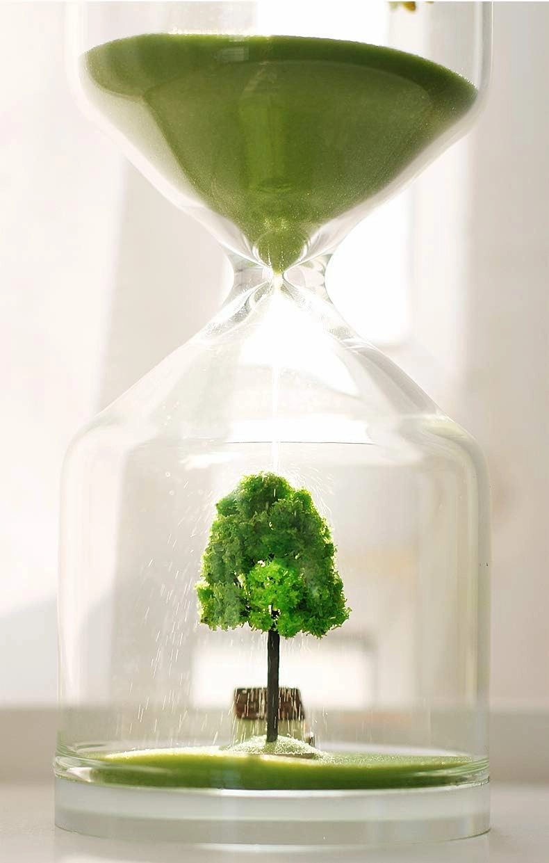 Falytemow 30 Minutes Hourglass Green Farm Sand Timer Cute Cow Desktop Decoration for Kitchen School Teaching