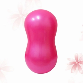 Garneck Thickened Anti-Burst Yoga Ball - 65cm Exercise Balance Ball for Home Fitness Stability Training and Core Workouts Durable Non Slip Material for Enhanced Performance