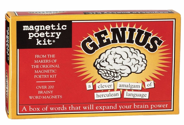 Genius Magnetic Poetry Kit
