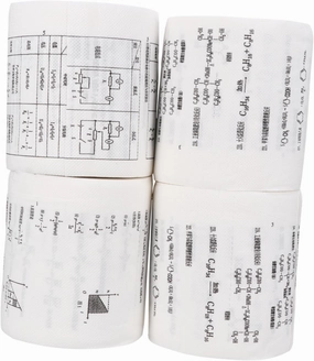 HEALLILY 4 Rolls Funny formula toilet paper Funny Printing Toilet Paper adult funny Toilet virgin wood pulp white Practical Home Tissue Physics Formula Pattern Tissue