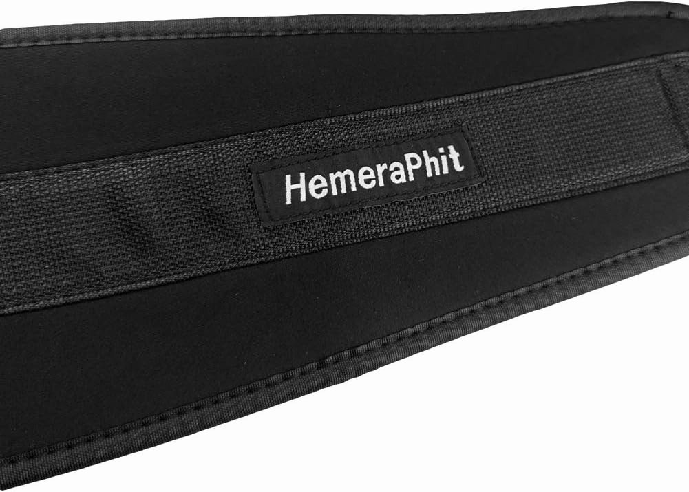 HemeraPhit Pull-up Belt Weighted Dip Belt with Chain Double D-ring Weightlifting Back Support Strap Home Gym Equipment Waist Belt