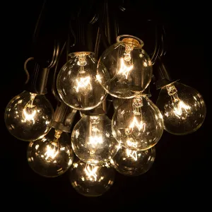 Hometown Evolution, Inc. 100 ft G40 Globe Patio String Lights with Clear Bulbs (Black Wire) (  5 Free Spares)
