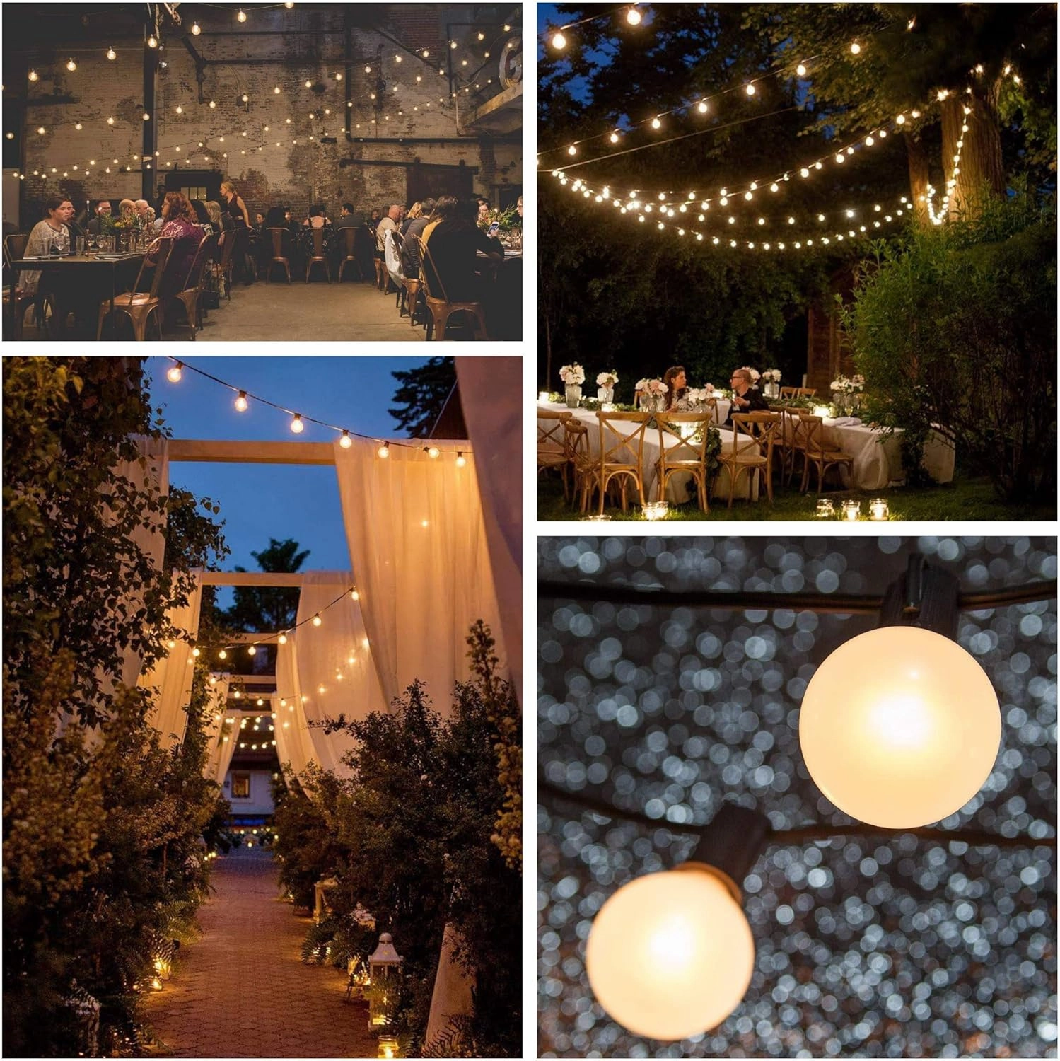 Hometown Evolution, Inc. 25 Foot G50 White Pearl Wedding String Lights with White Wire and G50 2 Inch 7 Watt Globe Bulbs for Parties, Patios, Backyards, Tents and More