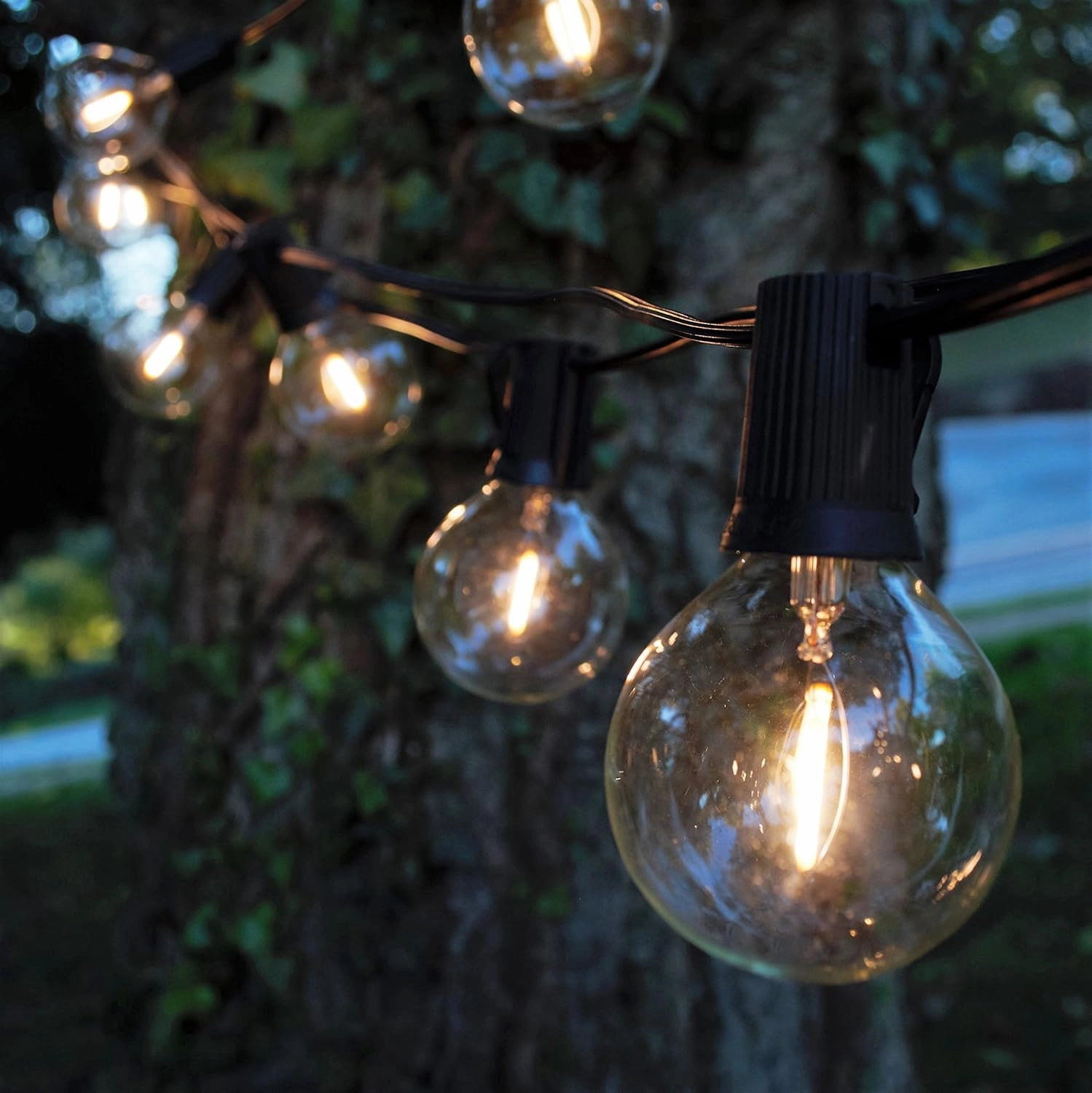Hometown Evolution, Inc. G50 2" LED Filament Outdoor Patio String Lights with 0.6 Watt Light Bulbs (G50 LED Plastic - Black Wire, 25 ft)