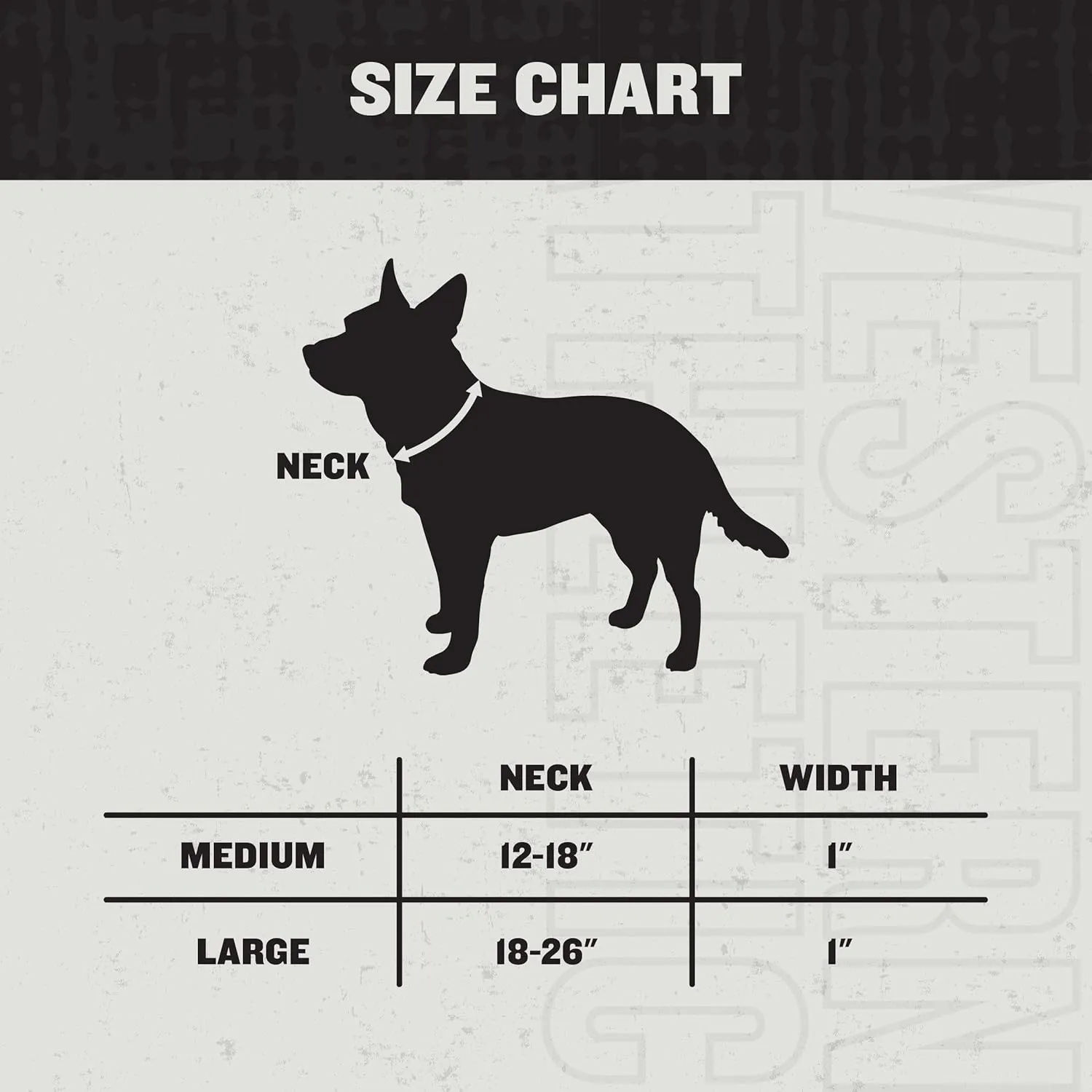 Hooey Nomad Dog Collar, Durable Polyester Webbing Collar with Graphic-Inspired Prints, Dirty Turq, Medium