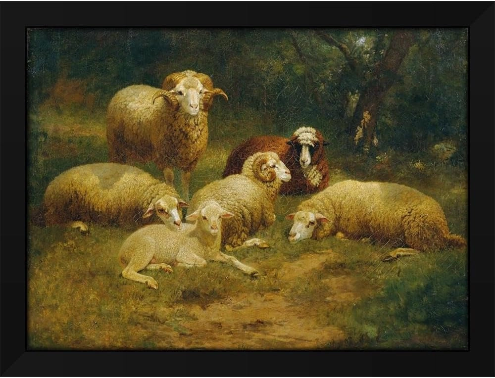 Johann Baptist Hofner 48x35 Huge Black Modern Framed Art Print Titled: Sheep (1870)