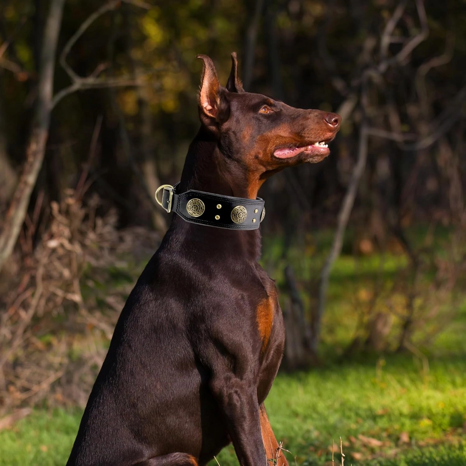 Leather Dog Collar for Medium Dogs, 2" Wide Durable Thick Strong Genuine Leather Spike Dog Collar with Metal Buckle, Padded Collar with Studded Design for Girl Boy Dogs (Black,M)