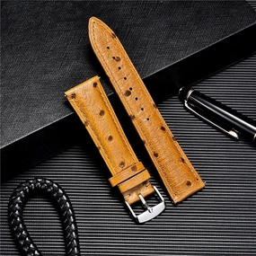 Leather Quick Release Watch Band Strap Red Black 18mm 20mm 22mm with Silver Stainless Steel Buckle(White-Dinosaur Doodle4,22mm)