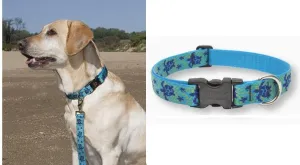 LupinePet Originals 1" Turtle Reef 12-20" Adjustable Collar for Medium and Larger Dogs