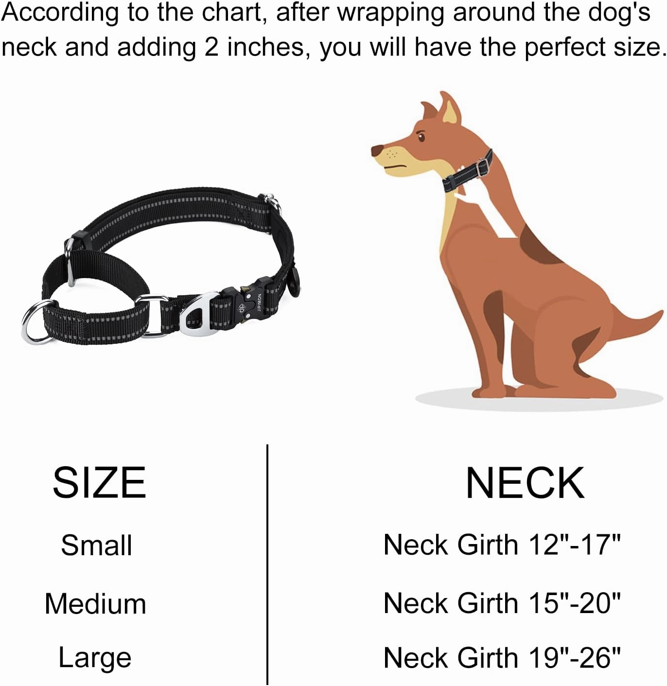 Martingale Dog Collar Reflective Nylon Soft Cushion with Alloy Buckle Dog Collar Martingale Small Medium and Large Dogs (Large, Dark Blue)
