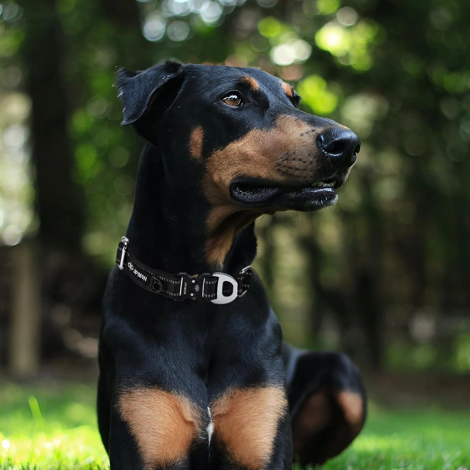 Martingale Dog Collar Reflective Nylon Soft Cushion with Alloy Buckle Dog Collar Martingale Small Medium and Large Dogs (Large, Dark Blue)