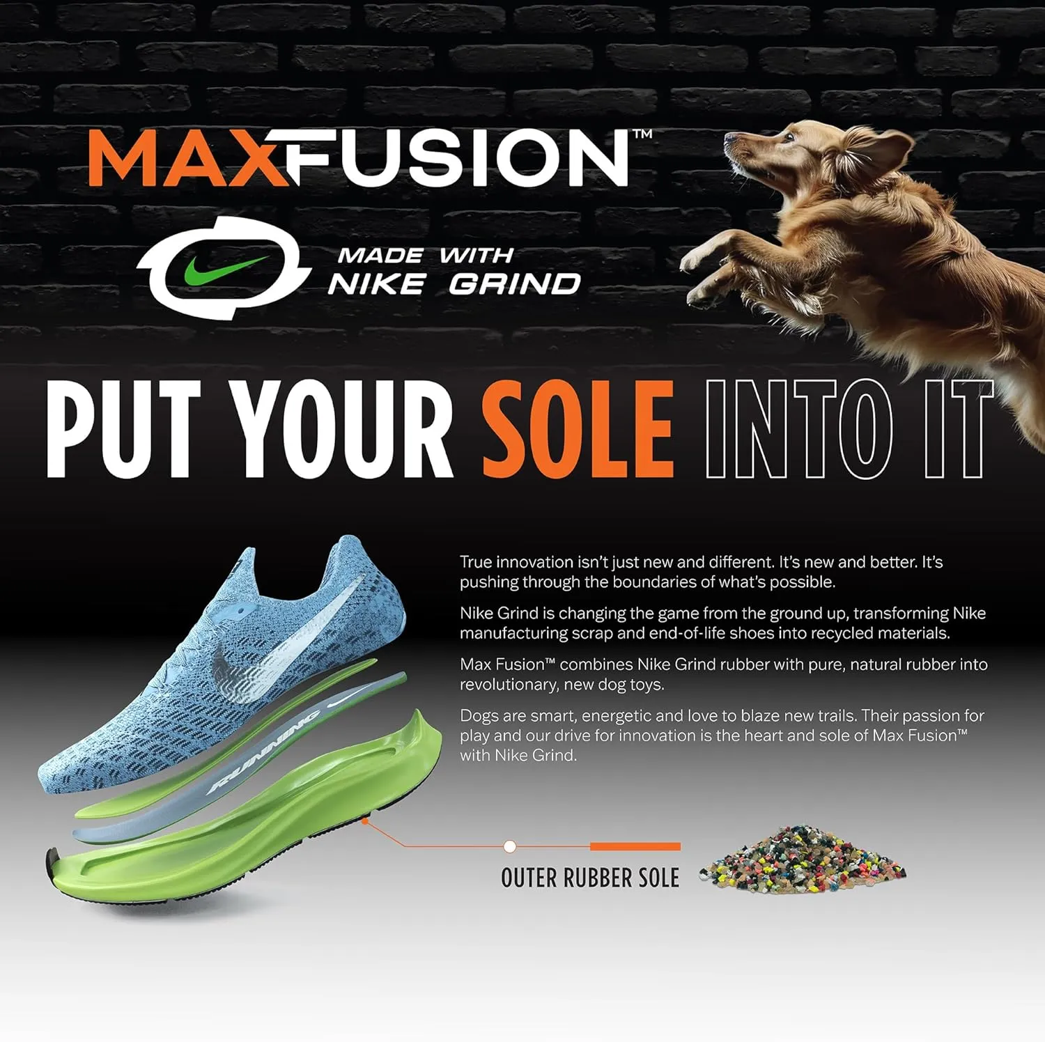 Max Fusion with Nike Grind, Arlee Cannon Treat Dispensing Dog Toy, Durable Dog Treat Toy, XL