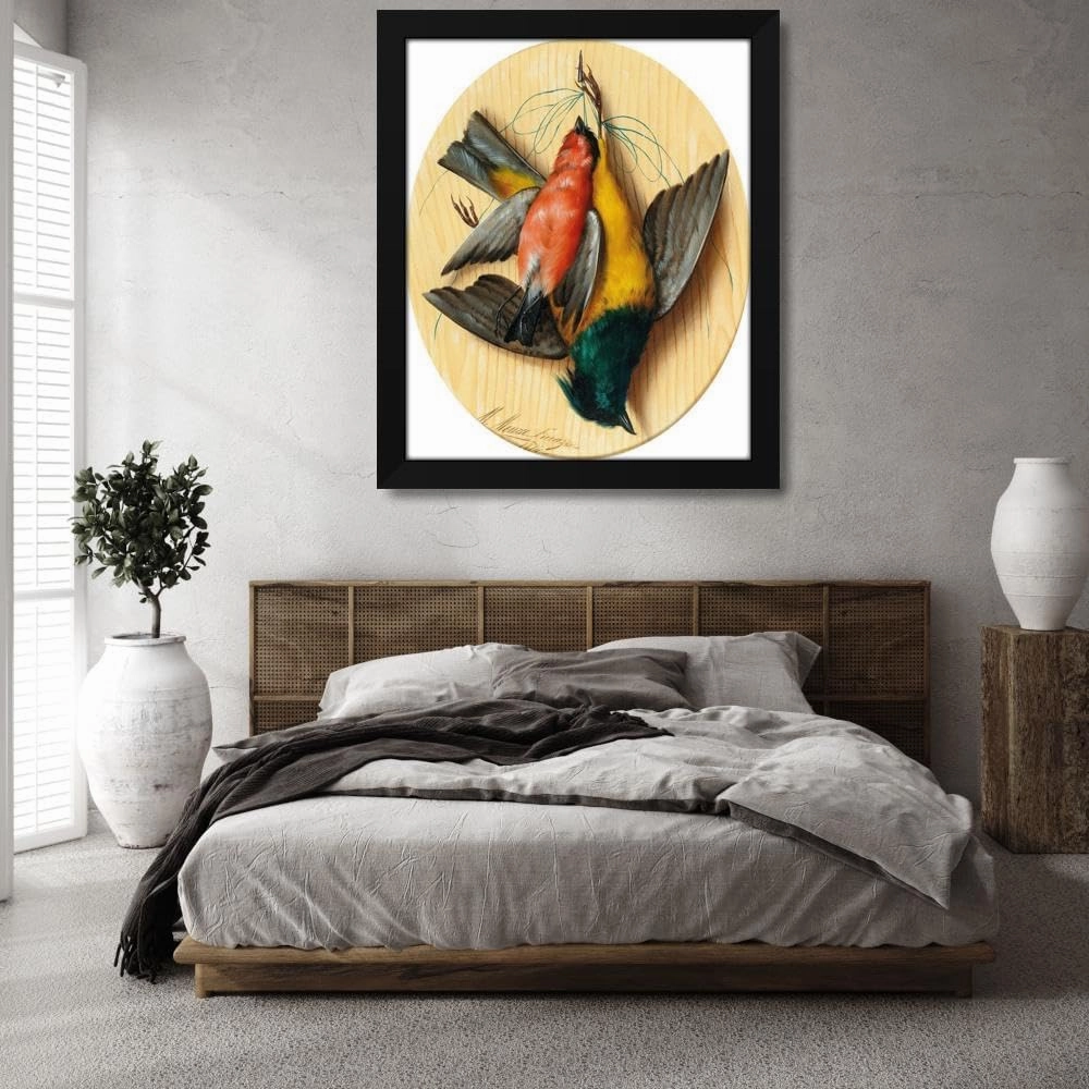 Michelangelo Meucci 36x44 Huge Black Modern Framed Art Print Titled: Still Life with Songbirds