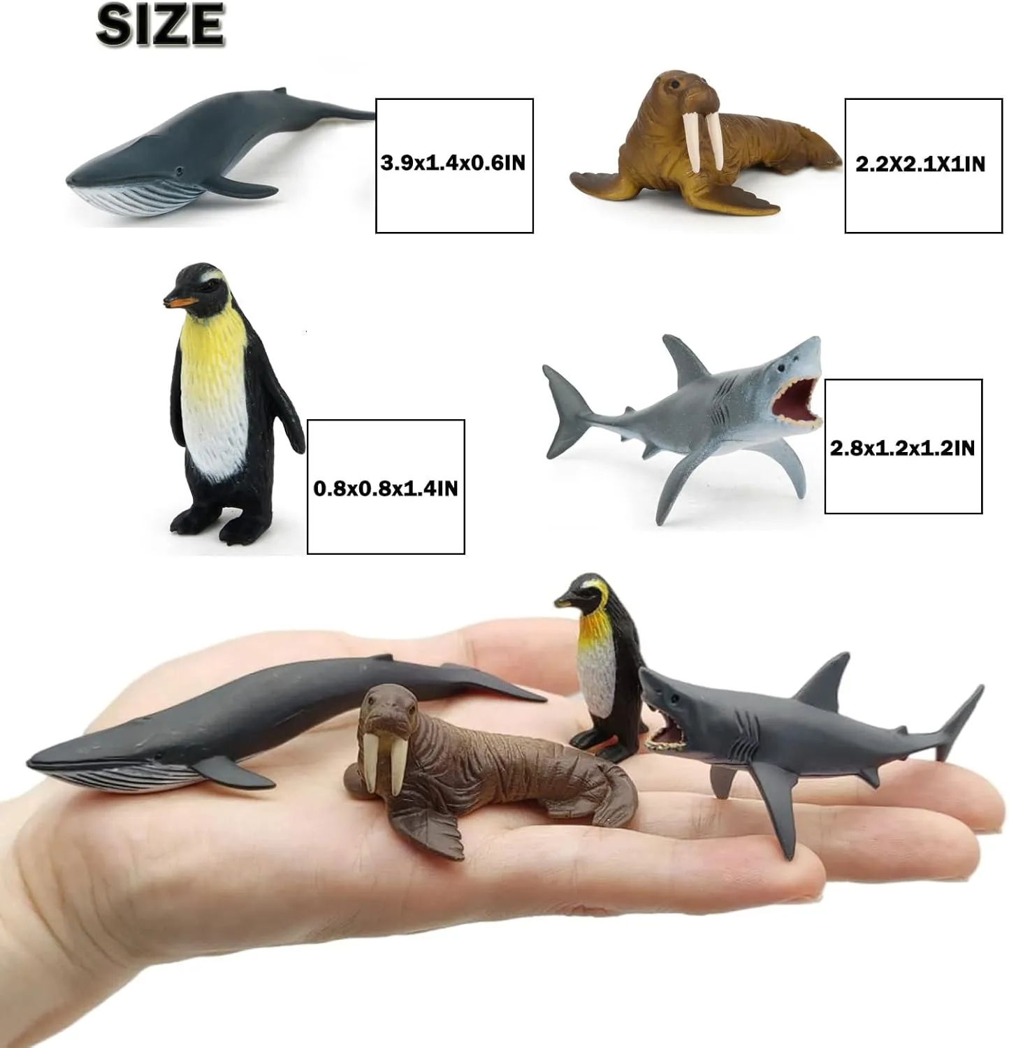 Montessori Animal Match Game Cards Marine Animal Matching Montessori Language Materials Toddlers Preschool Educational Learning Toys
