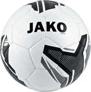 Motion 2.0 Training Ball