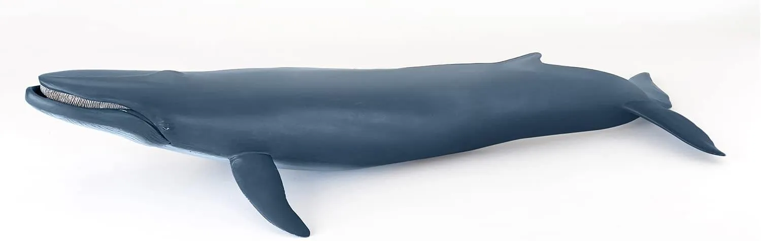 Papo - Blue Whale - Figurine Marine Animals - 3 Years Old - Cetaceans and Marine Mammals - Hand Painted - Durable Educational Toy - 38,5 x 17 x 7,5 cm - Children's Toy - Gift Idea - Blue Whale Toy