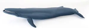 Papo - Blue Whale - Figurine Marine Animals - 3 Years Old - Cetaceans and Marine Mammals - Hand Painted - Durable Educational Toy - 38,5 x 17 x 7,5 cm - Children's Toy - Gift Idea - Blue Whale Toy