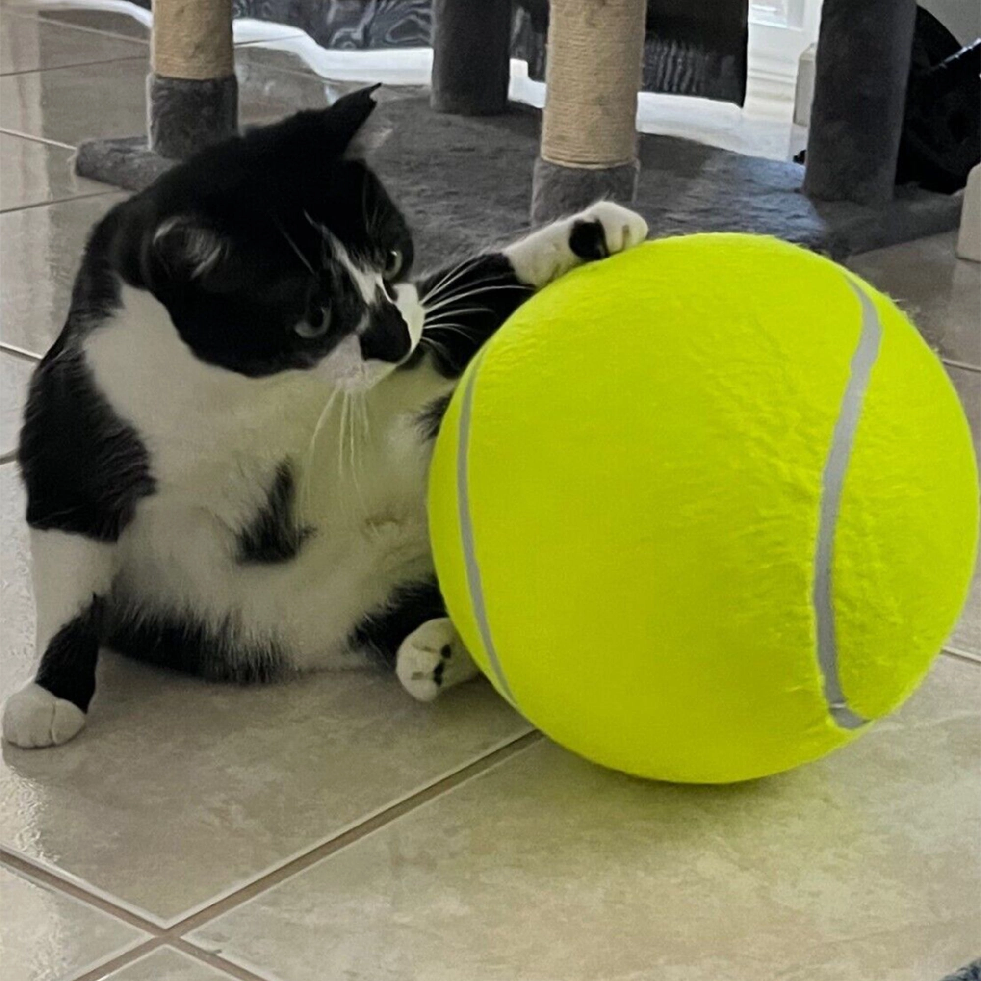Pet Tennis Ball - 9.5" - Durable Rubber and Felt Material