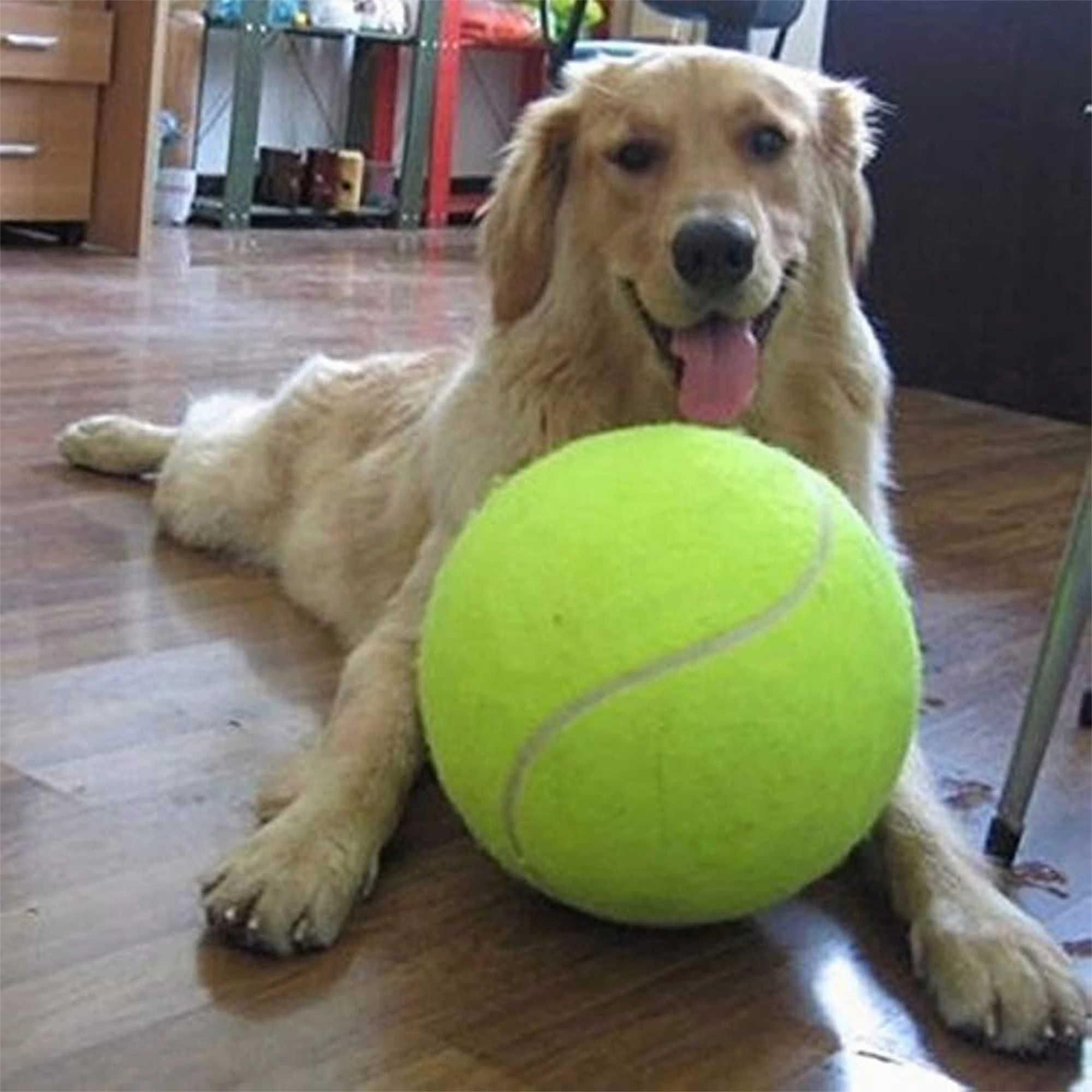 Pet Tennis Ball - 9.5" - Durable Rubber and Felt Material