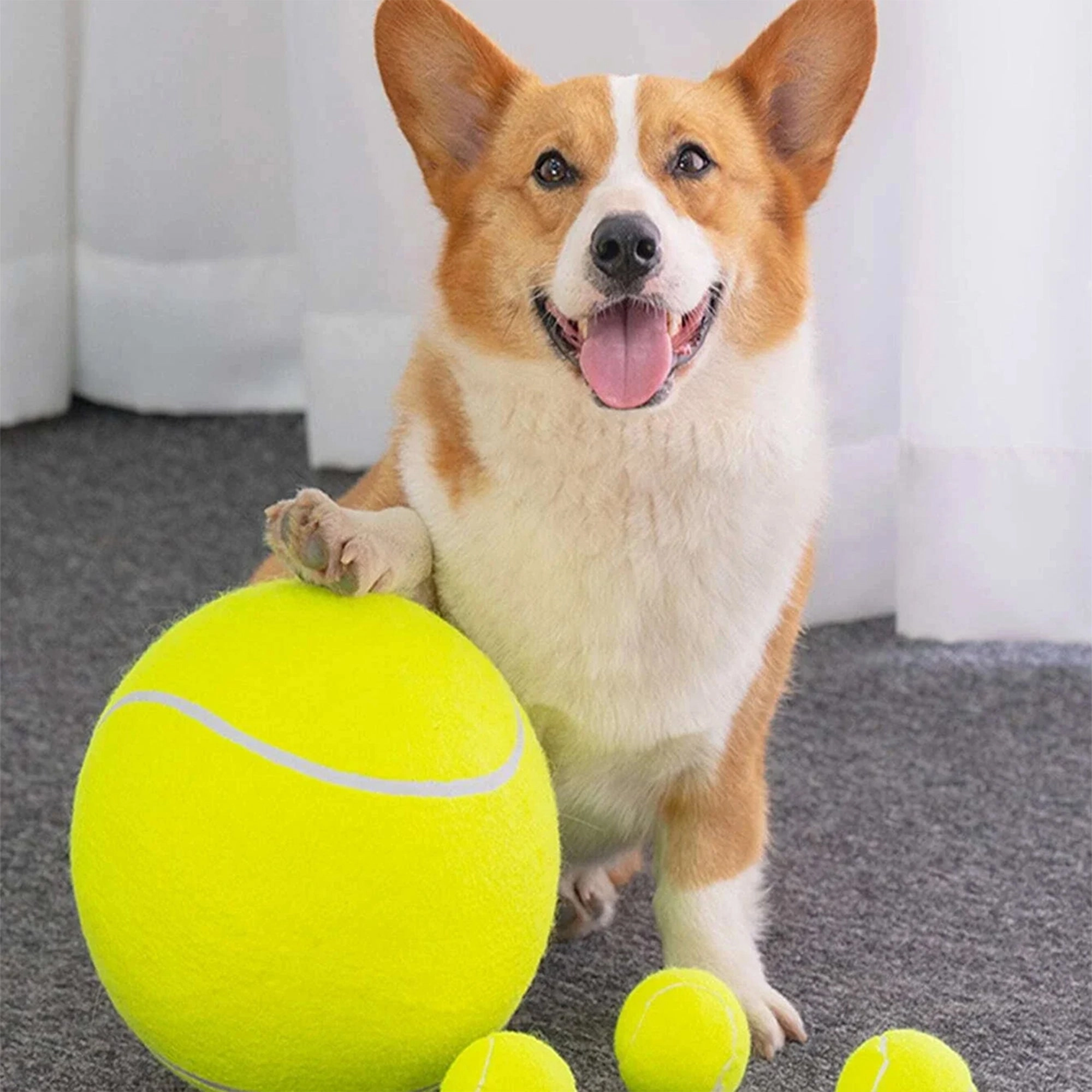 Pet Tennis Ball - 9.5" - Durable Rubber and Felt Material