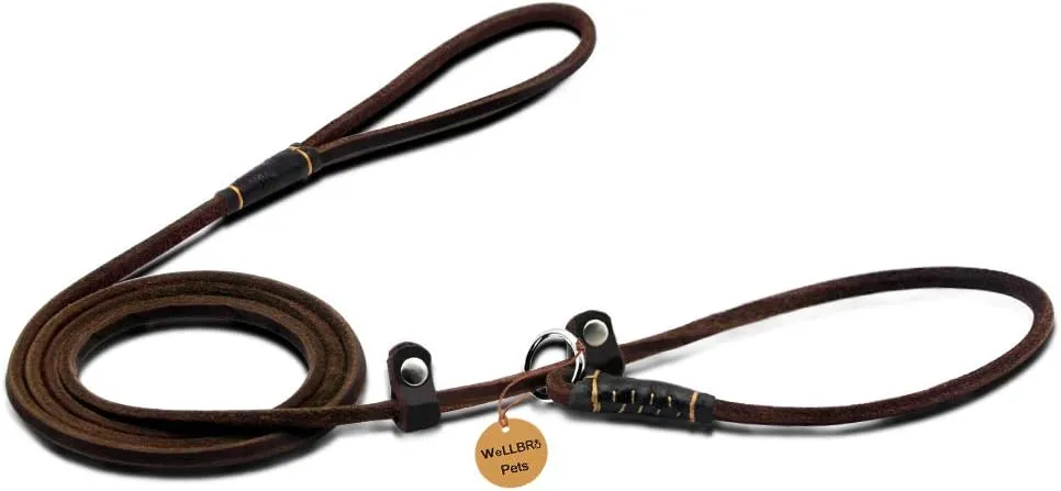 Real Leather Slip Dog Leash, Super Thin and Adjustable Slip Lead, Soft and Slim, Suit for Puppies Small Dogs, 160cm Long by 0.6cm Wide, Brown