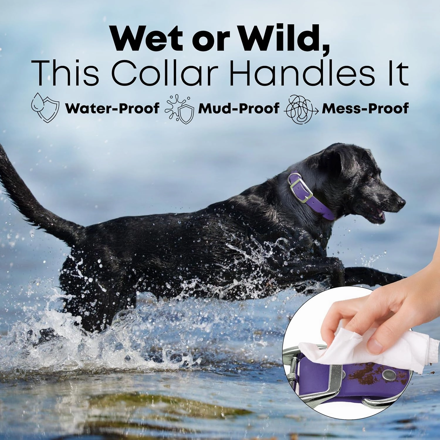 Regal Dog Products Small Purple Dog Collar with Heavy Duty Double Buckle & D Ring | Vinyl Coated, Custom Fit, Adjustable Biothane Dog Collar | Chew Resistant Waterproof Collar for Dogs