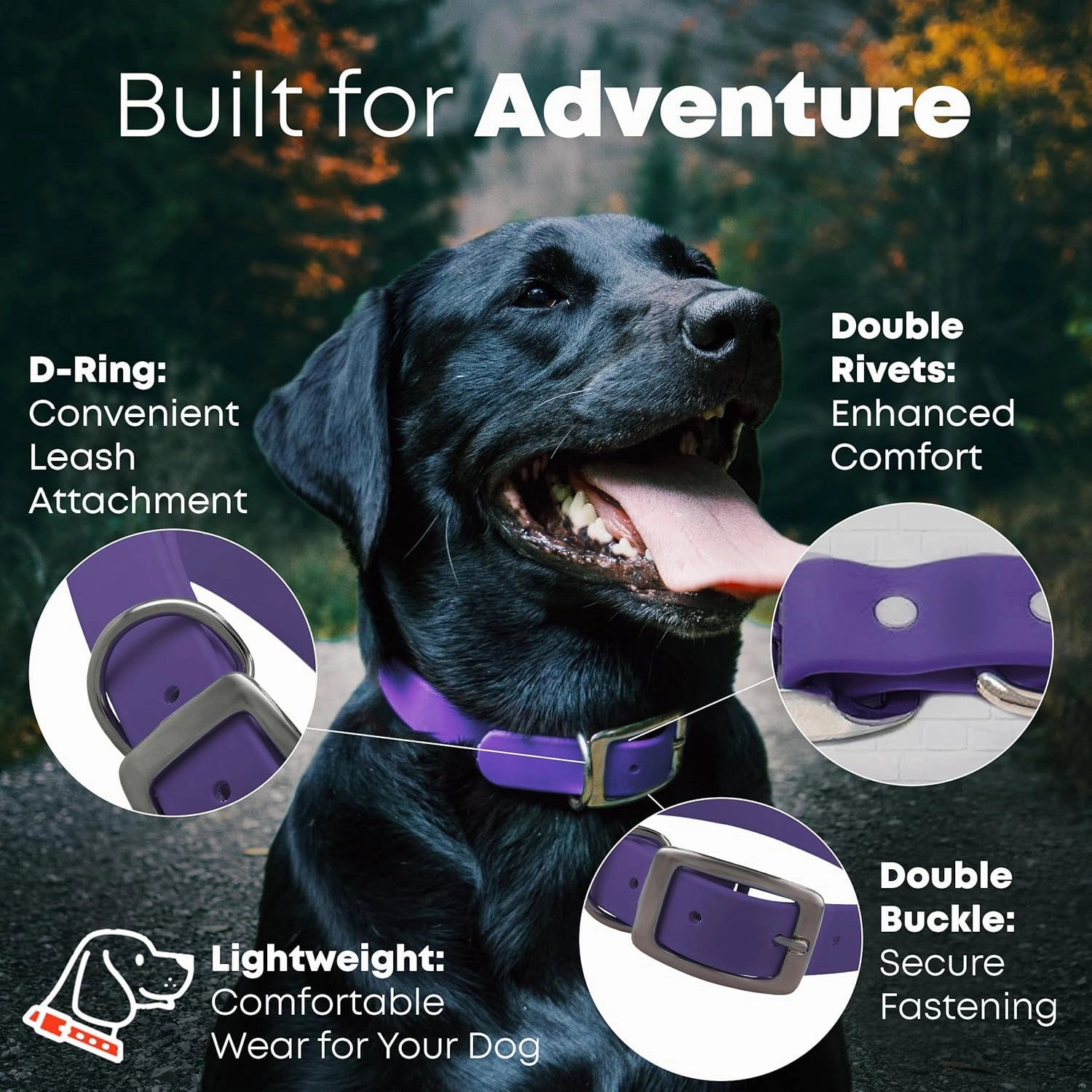 Regal Dog Products Small Purple Dog Collar with Heavy Duty Double Buckle & D Ring | Vinyl Coated, Custom Fit, Adjustable Biothane Dog Collar | Chew Resistant Waterproof Collar for Dogs