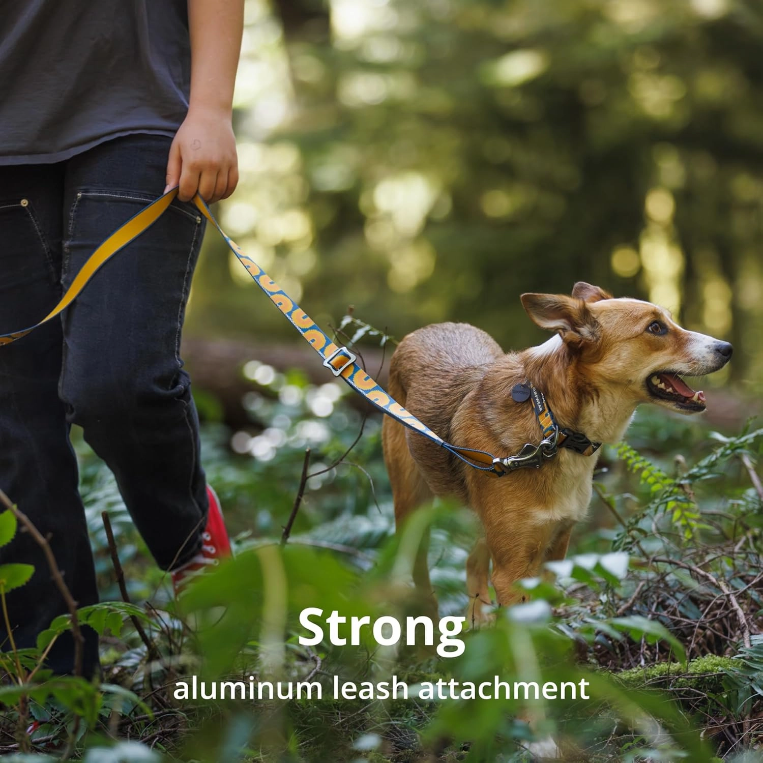 Ruffwear, Crag Dog Collar, Reflective and Comfortable Collar for Everyday Use, Alpine Dusk, 11"-14"