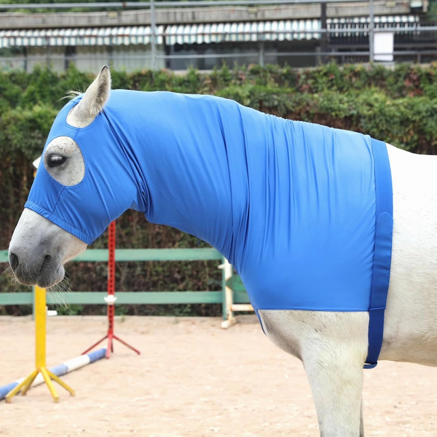 Stretch Horse Slinky Hood Spandex Mane Stay Hoods with Zipper Blue Medium