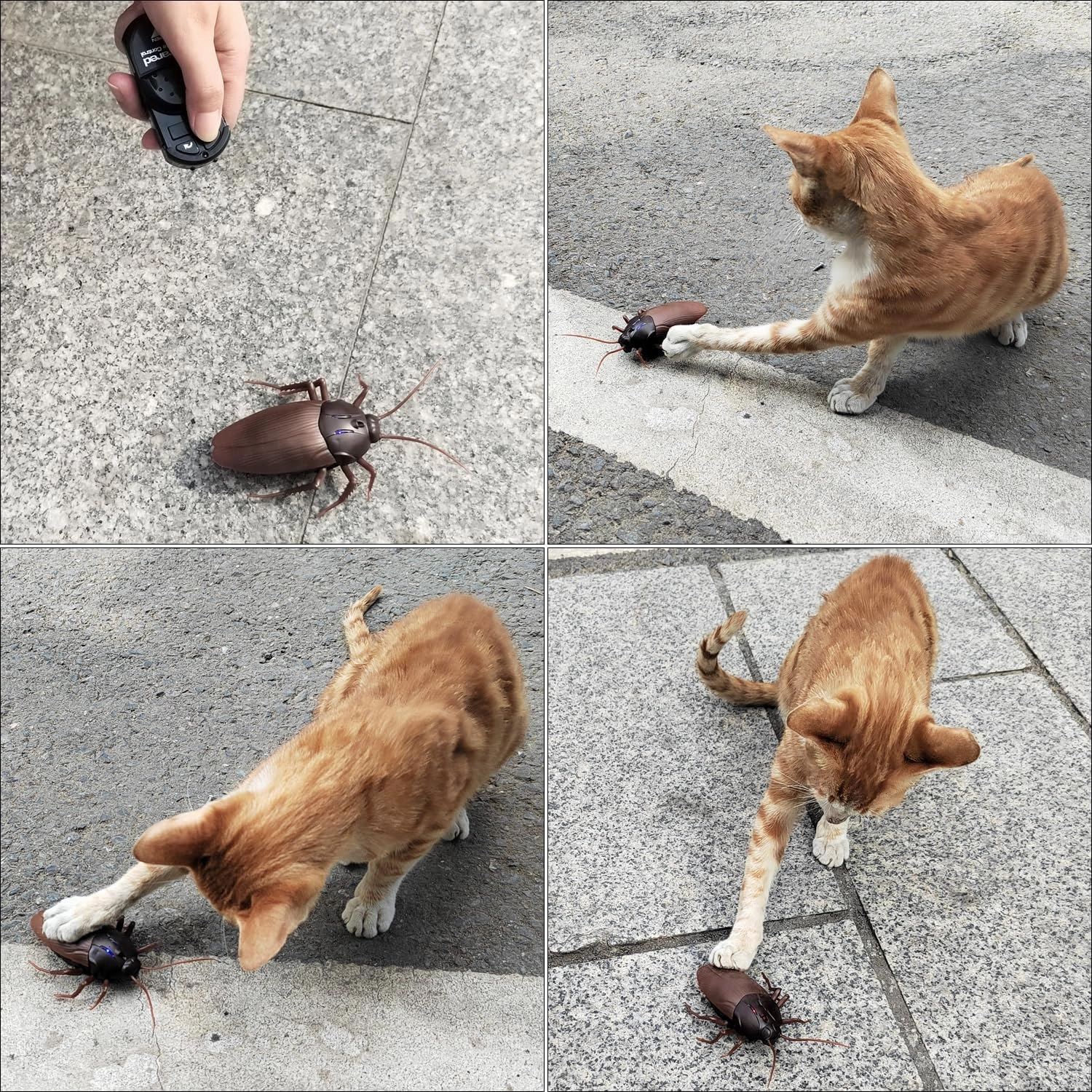 Tipmant RC Cockroach Toy Remote Control Roach Insect Realistic Simulation Electric Electronic Animal for Cat Toddler Kids Birthday Gifts Includes Screwdriver Battery
