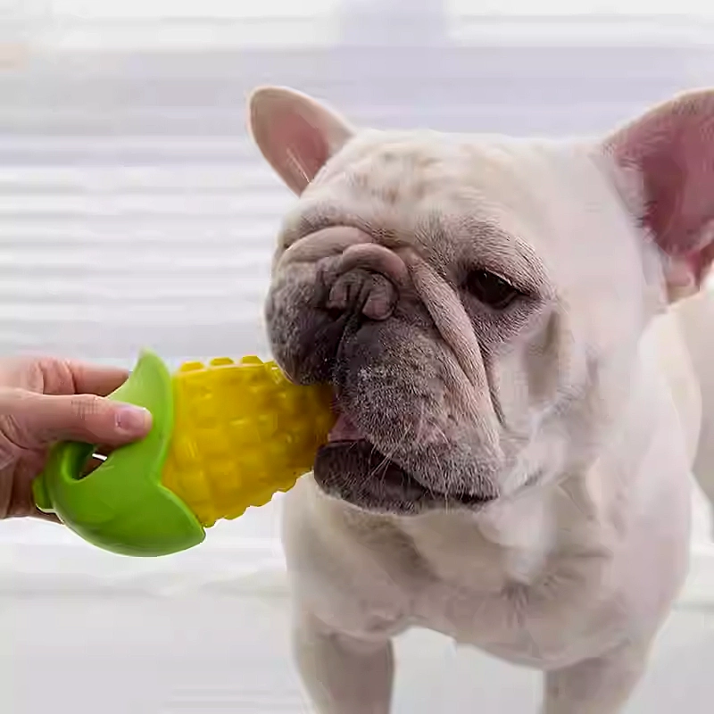 Vegetables  Durable Dog Chew Toy