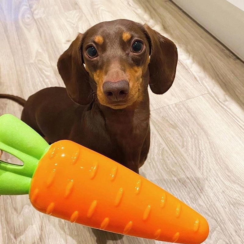 Vegetables  Durable Dog Chew Toy