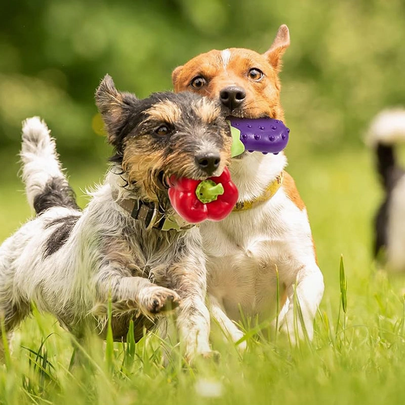 Vegetables  Durable Dog Chew Toy
