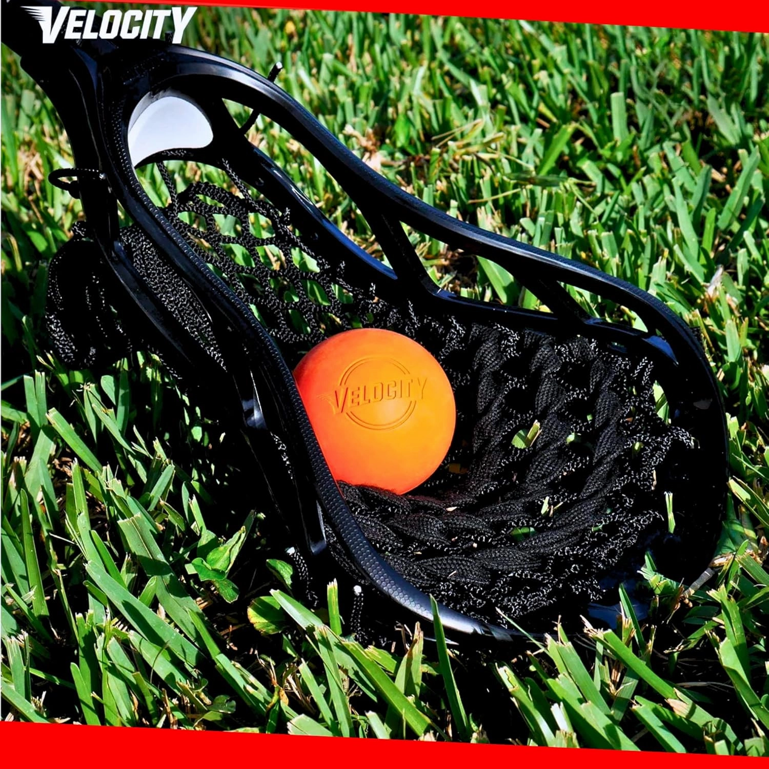 Velocity Lacrosse Balls - 1, 2, 3, 6, 12, 18, 24, 36, 60 and 120 Packs - for Practice, Official NFHS and College Approved Size