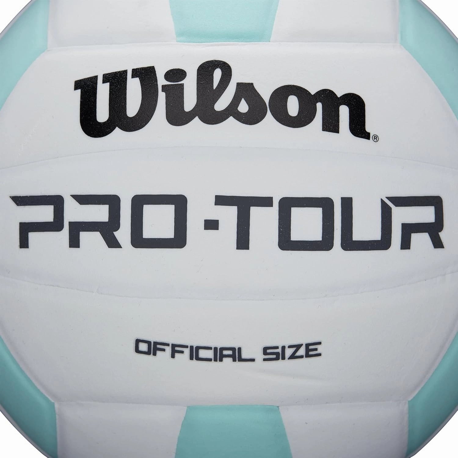 WILSON Indoor Recreational Volleyballs - Official Size
