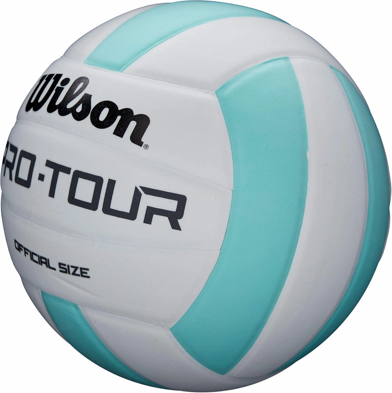 WILSON Indoor Recreational Volleyballs - Official Size