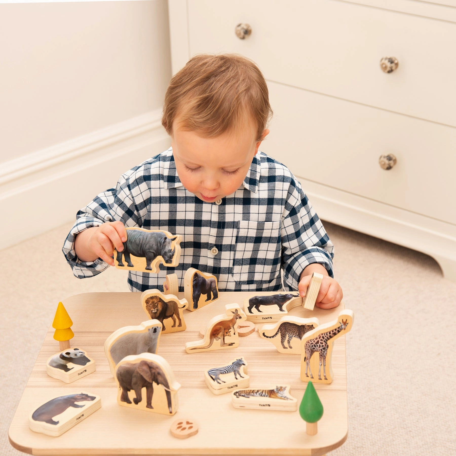 Wooden Wild Animal Blocks - Set of 15