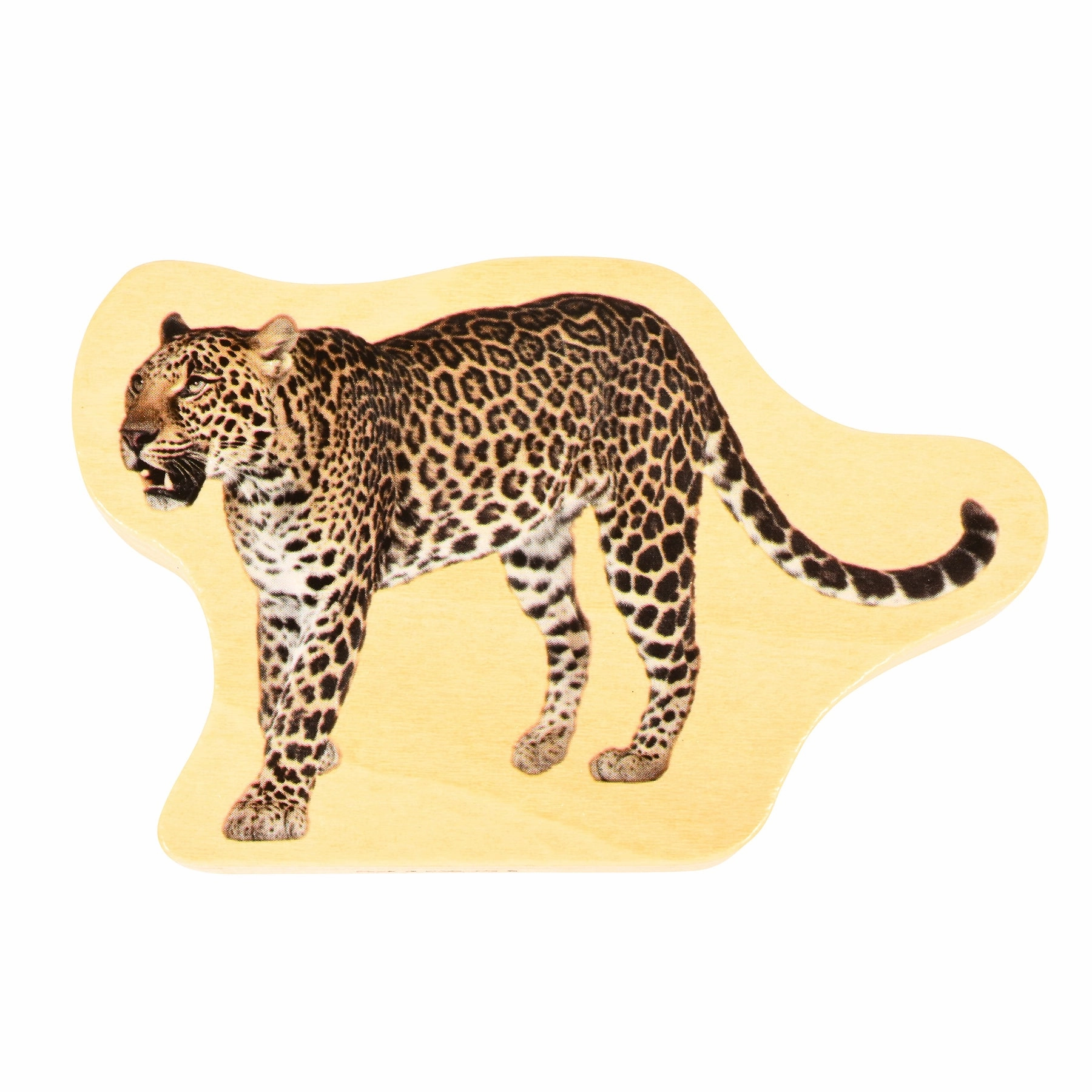 Wooden Wild Animal Blocks - Set of 15