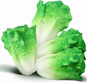Zeyune 4 Pcs Fake Lettuce Fake Vegetable Realistic Artificial Vegetables for Decoration, Home Kitchen Decor, Simulation, PU